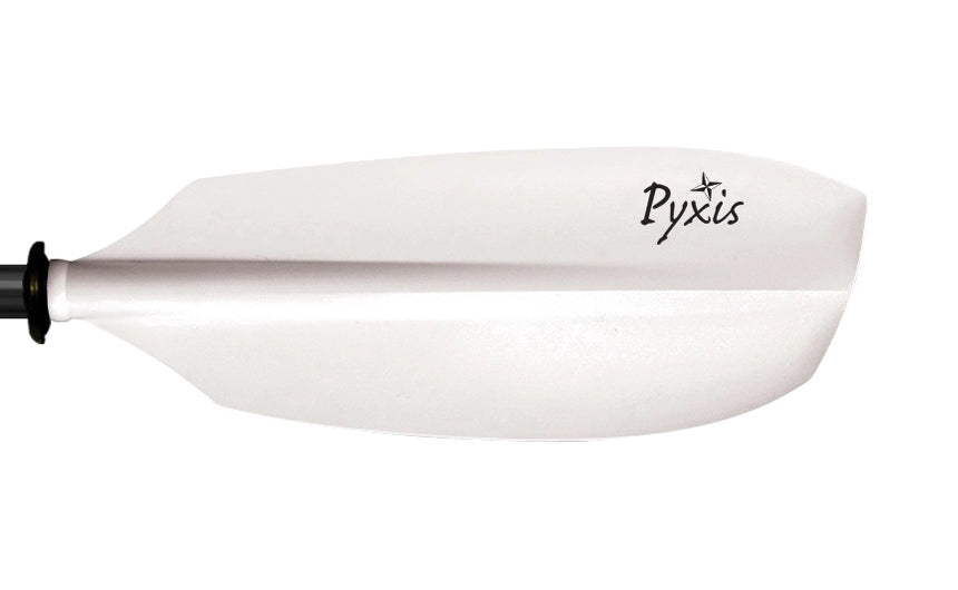 TNP Pyxis Glass - 4pc