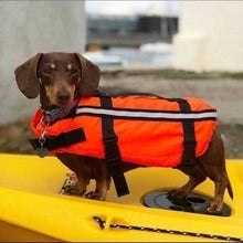 Typhoon Totland Dog Buoyancy Aid
